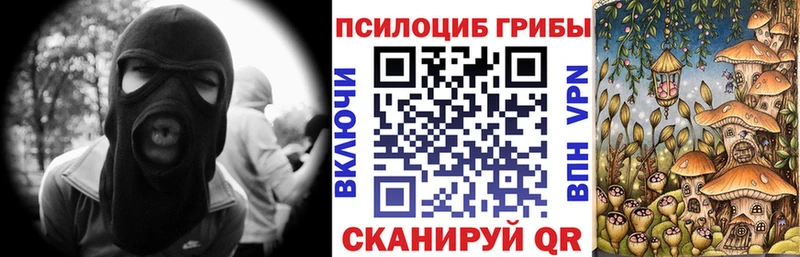 купить   Весьегонск  Галлюциногенные грибы мухоморы 